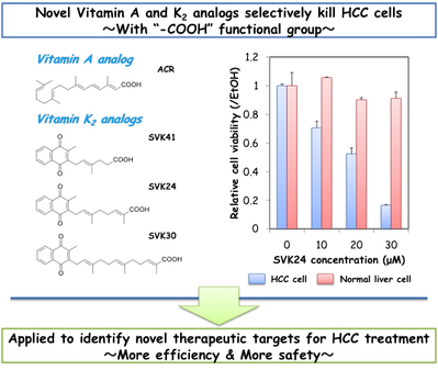 killing_hepatocellular_carcinoma_cells